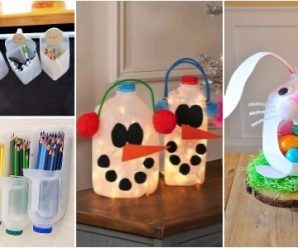 Reutiliza los Botes de Leche y Crea Cosas Maravillosas