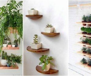 Dale Frescura a tu Hogar, te Damos 15 Ideas para Decorar con Plantas