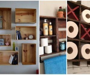 Opciones Creativas para colocar Estantes