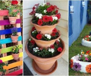 Redecora tu Patio, dale Vida Coloreando tus Macetas