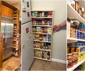 Optimiza el Espacio en tu Cocina, Arma tus Alacenas con Estas Ideas