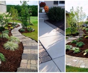 Ideas para Decorar con Piedras la entrada o Patio de tu Casa