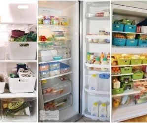 Organiza tu Refrigerador (Nevera), Revisa estas Opciones